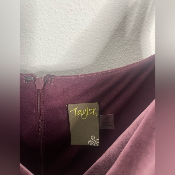 Nwt TAYLOR Velvet Cowl Neck Maxi Dress NWT size 14 Wine tasting - Picture 3 of 8
